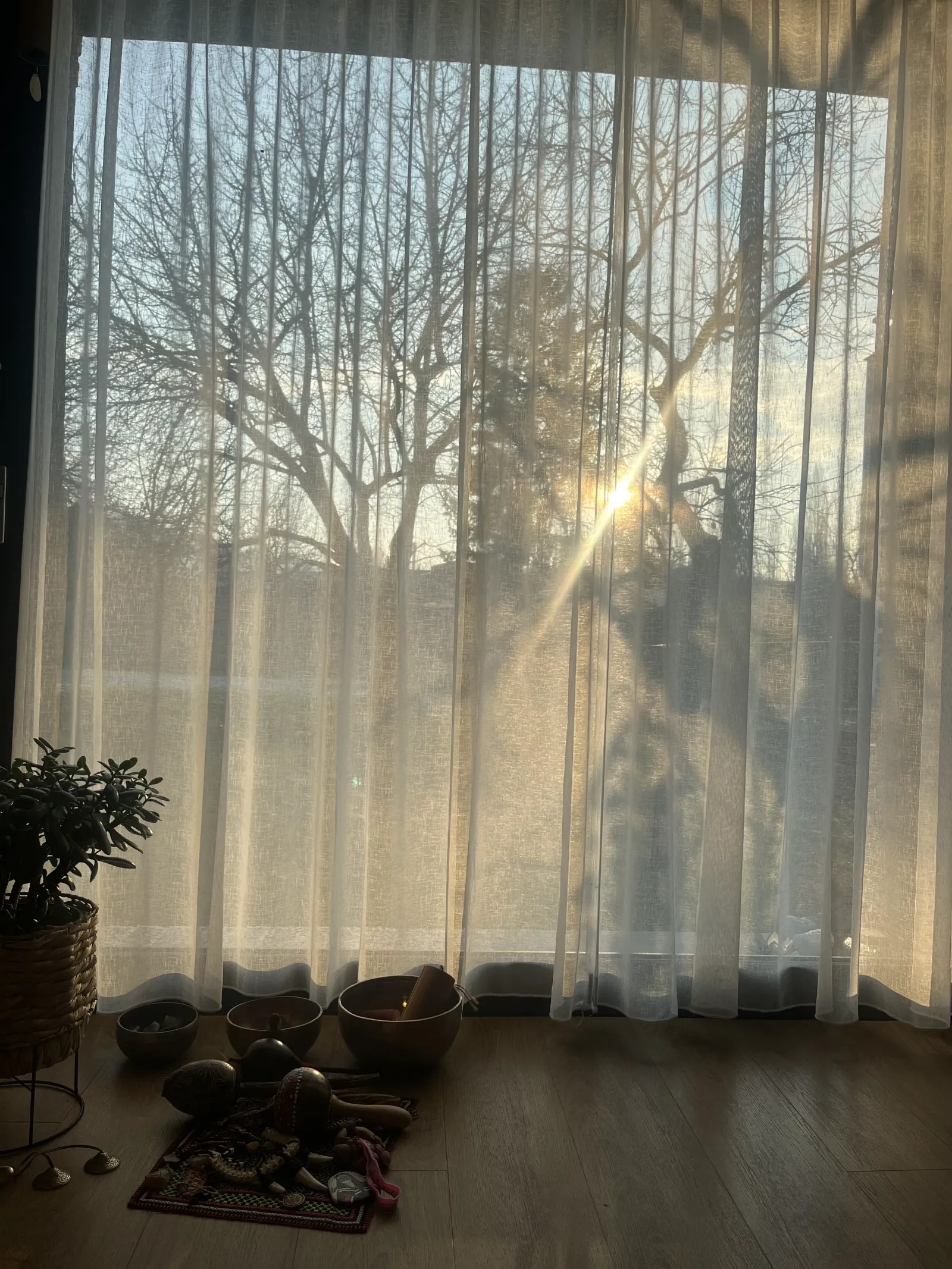 Ranní slunce prosvítá záclonami v sále